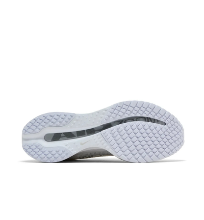 Pegasus Premium White Metallic Silver